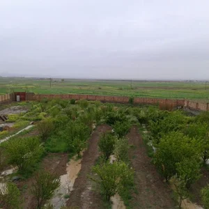 باغ اصغر دکتر