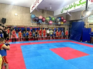 باشگاه ووشو ولیعصر عج