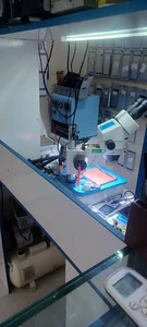 موبایل مانی تل+