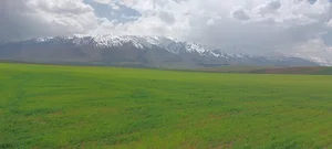 شهرستان