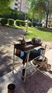 علی قهوه ( کافه دلارآم)