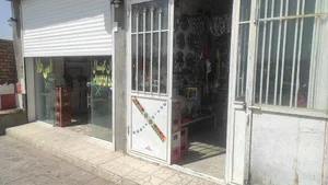تعمیرگاه اسی طلا