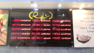 سوپر پروتئین شیلان