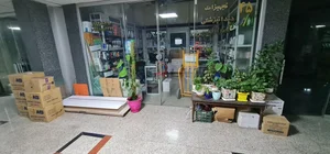 تجهیزات دندانپزشکی میرزایی 3