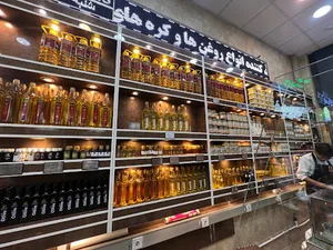 نیری ارگانیک