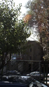 گل ارکیده 2
