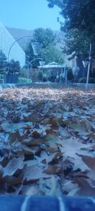 باغ تالار کوهساران 3