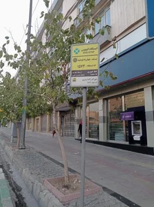 خیابان توحید