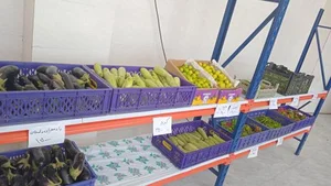 تره بار پیام 3