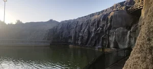 باغ مجتبی صالحی