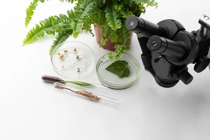 کیلینیک گیاه پزشکی دکتر لند