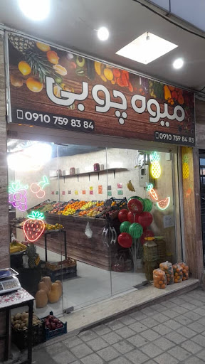میوه چوبی
