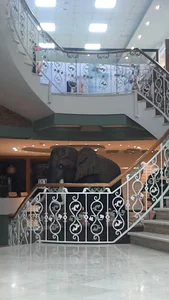 کلینیک بینایی سنجی نور