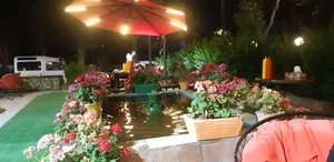 فست فود زعفران طلایی 4