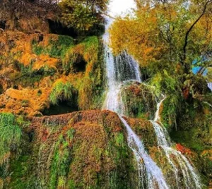 گلاب گیری گلستان گلاب