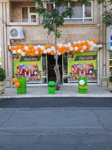راد اپتیک