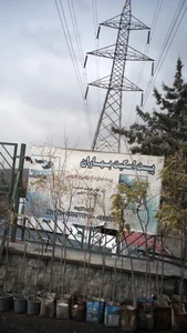 پیست اسکیت 2
