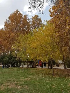 فضای سبز بوستان امام