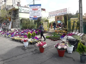 کلینیک گل و گیاه مرزداران