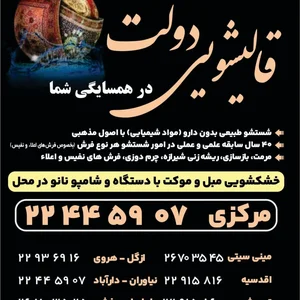 دفتر قالیشویی دولت 3