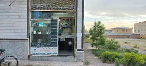 کامپیوتر سناتور