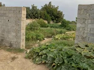 رستوران و تالار 45