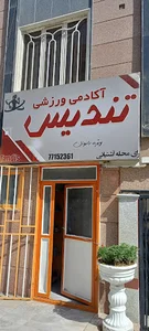 باشگاه ورزشی تندیس (بانوان)