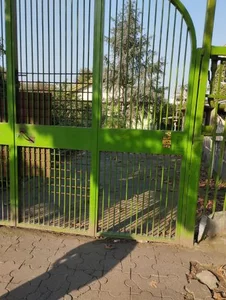 دنیای گل بادلی 2