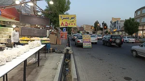 ایستگاه قارچ