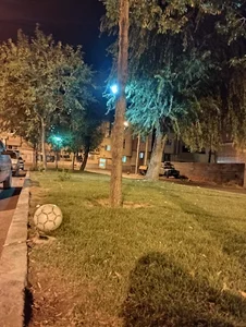 بلوار