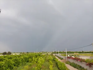 کوچه باغ عارف