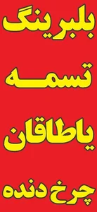 بلبرینگ حمید 3