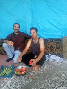 طباخـــــی برادران نــــــوروزی