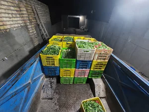 پخش سبزیجات نیشابوری