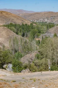 Arefi
