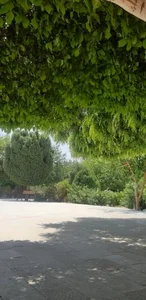 بوستان جوان 4