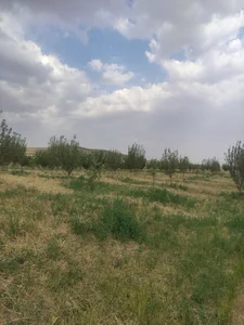 گلستان آقای گمانعلی دهقانی