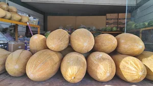 سوپر میوه کشاورز 5