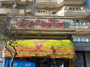 پروتئین اعیان