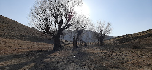 قودی چشمه