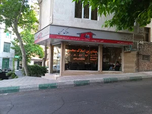 املاک محسن