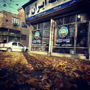 بیمه ایران ماکوئی. Iraninsurance