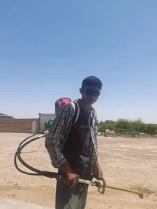 گاوداری برادران گروه ای یا پرورش اسب گروه ای