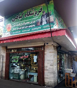 پیرسرا جلالی
