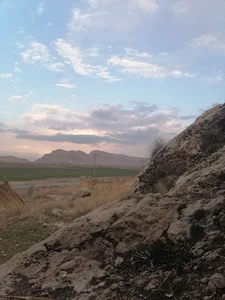بوستان خطی خلیج‌ فارس