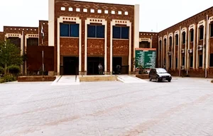 MS Office DHQ Hospital Bahawalnagar