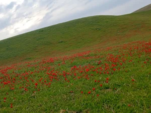 ایستگاه هواشناسی فرودگاه