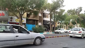 ترمه رضایی شعبه کاشانی