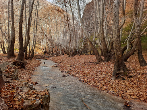 تنگ گنجه ای