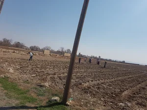 خواروبار فروشی عمو حسین